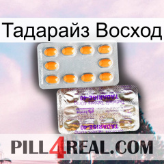 Тадарайз Восход new12